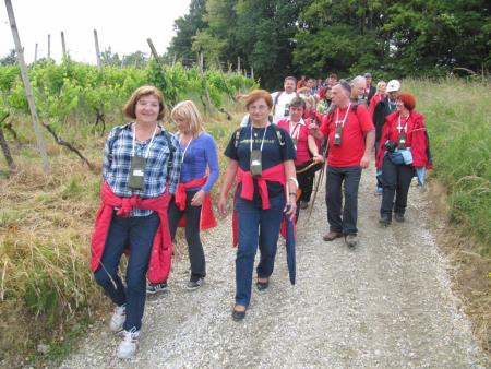 Pomlad v prleških goricah 2013 19
